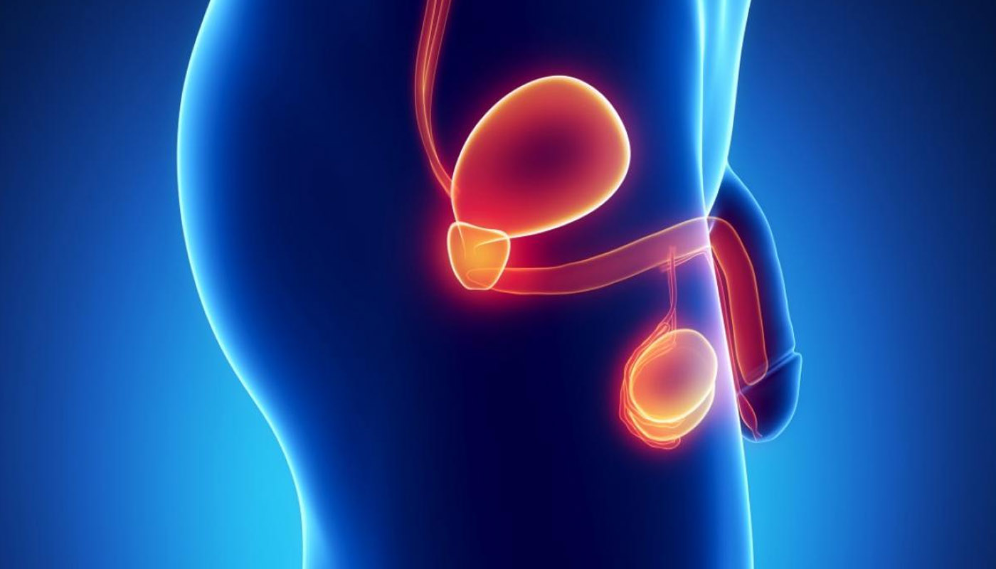 Crecimiento Prostático